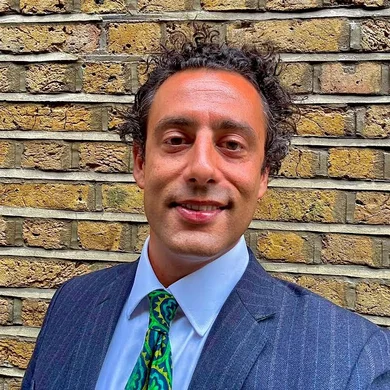 Michael Paulin - Consultant Barrister