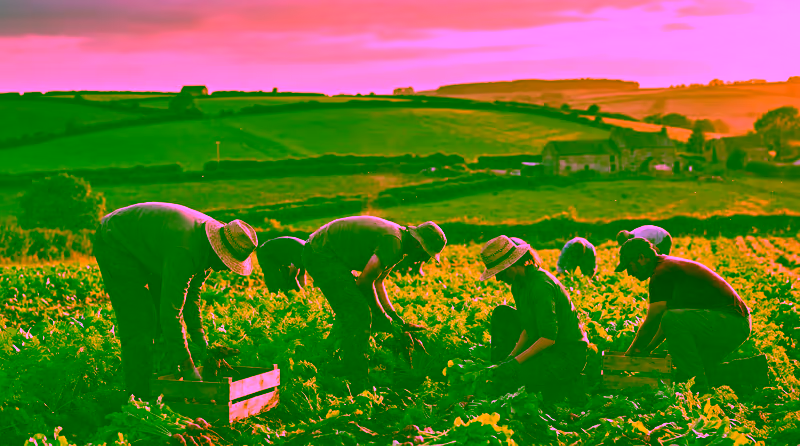 Temporary Work routes advice for short term work in the UK
